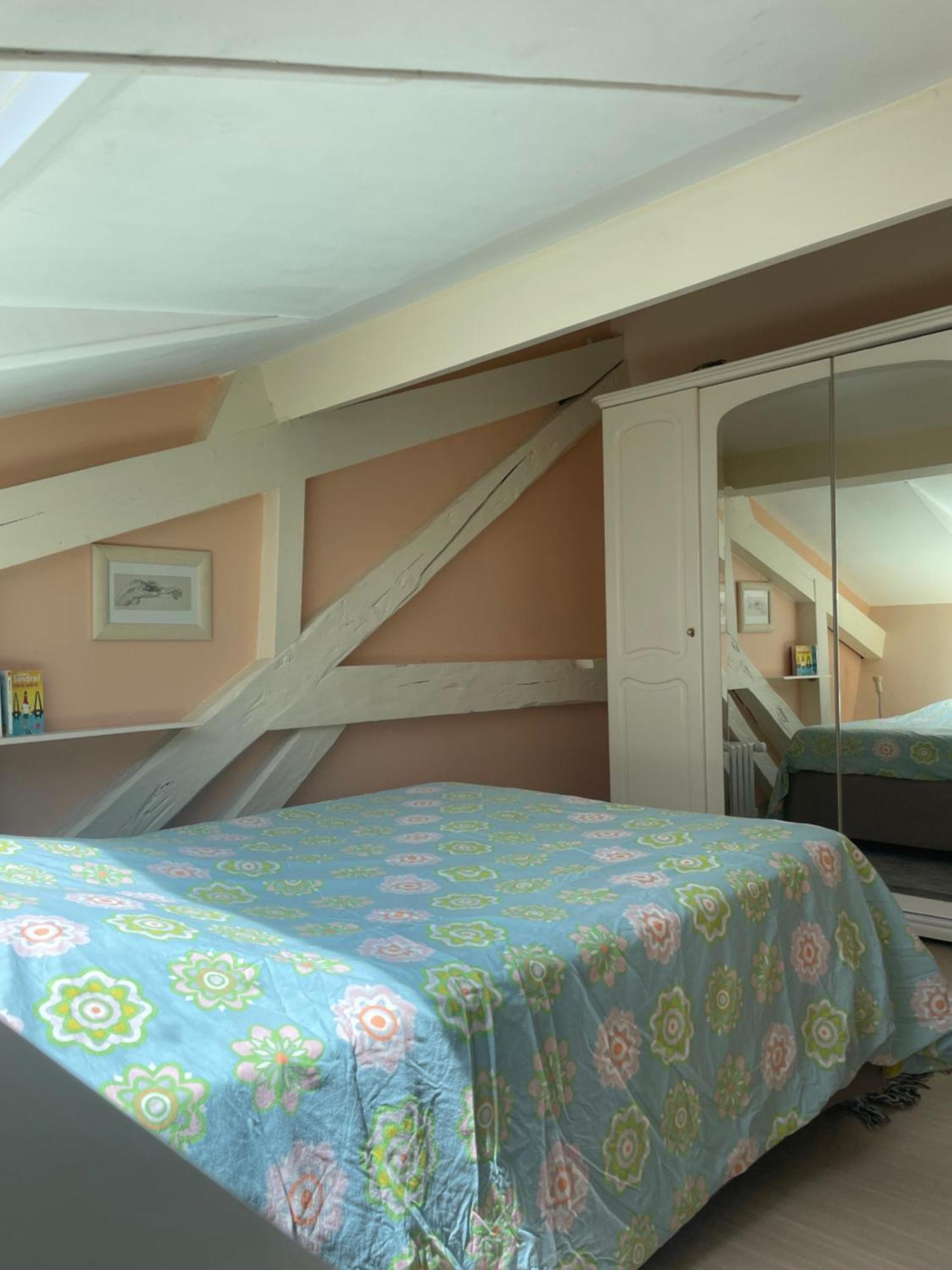 Rare 2 Bedroom With Private Beach On Lake Annecy Doussard Ngoại thất bức ảnh